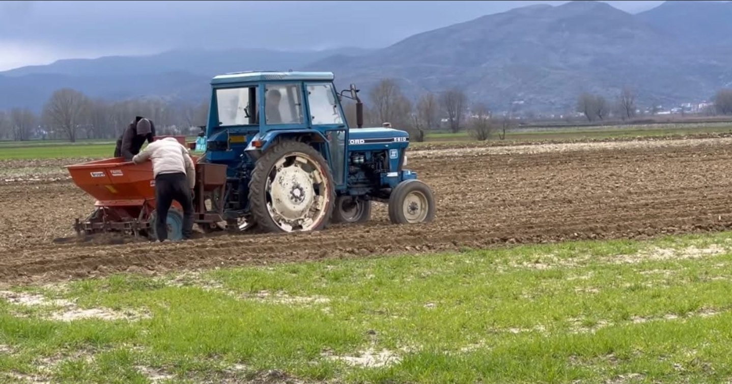 “Po na bëjnë të ikim nga Shqipëria”/ Rritja e çmimit të naftës, fermerët e Maliqit në situatë të rënduar: Rama të vërë dorën në zemër si Greqia
