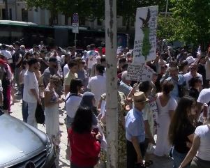 PROTESTUESIT MBLIDHEN PARA KUVENDIT, THIRRJE KUNDËR QEVERISË DHE SEANCËS PLENARE