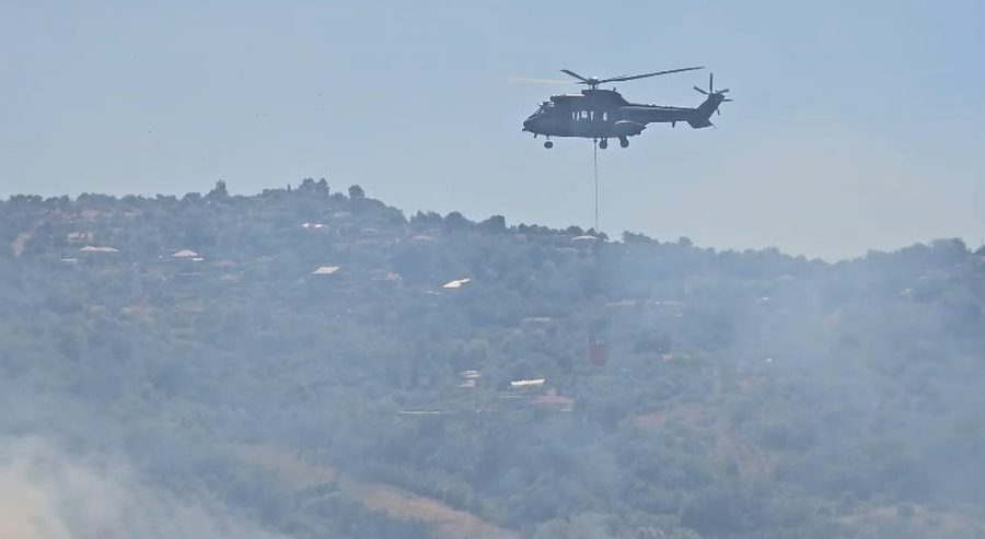 ZJARR I MADH NË FIER, DIGJEN MBI 100 HEKTARË ULLISHTE DHE SHKURRE