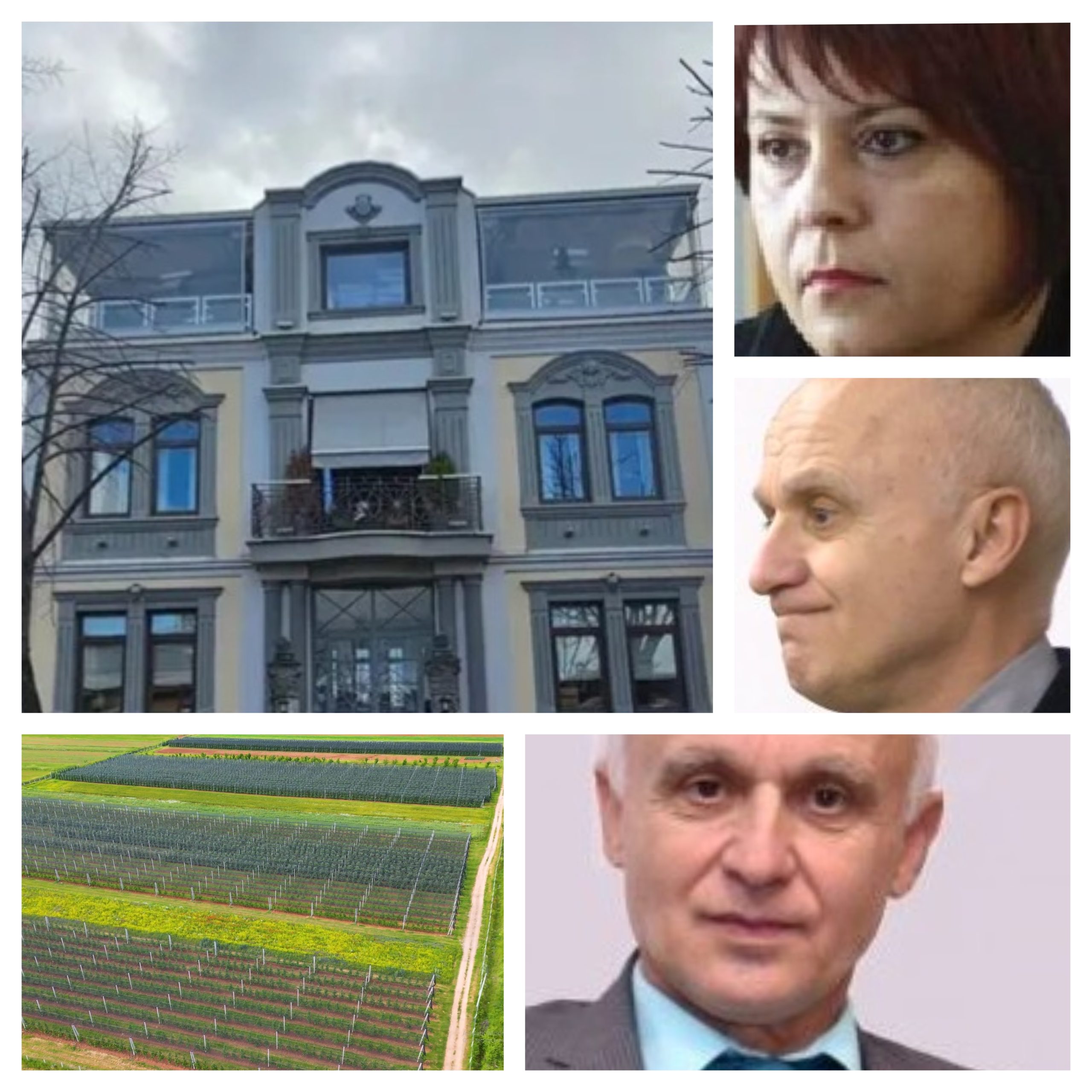 SAGA E PASURISË SË TARES SË UJËSJELLËSIT DHE ENTELES, ISH-GJYKATËSES, SOT PEDAGOGE E UNIVERSITETIT FAN NOLI