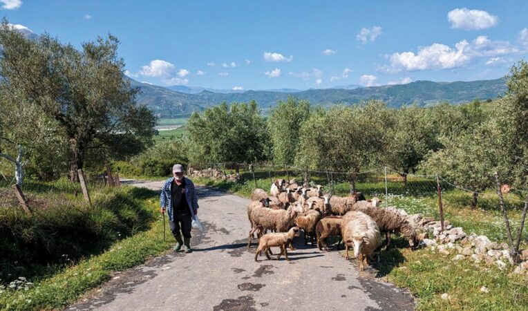 BLEGTORËT NË ALARM: 7 KËRKESA QEVERISË, PARALAJMËROJNË RIKTHIMIN E PROTESTAVE